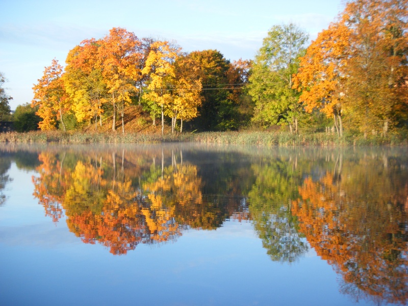 Vaizdas:Rudens veidrodis 867.jpg
