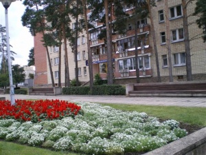Visagino centre