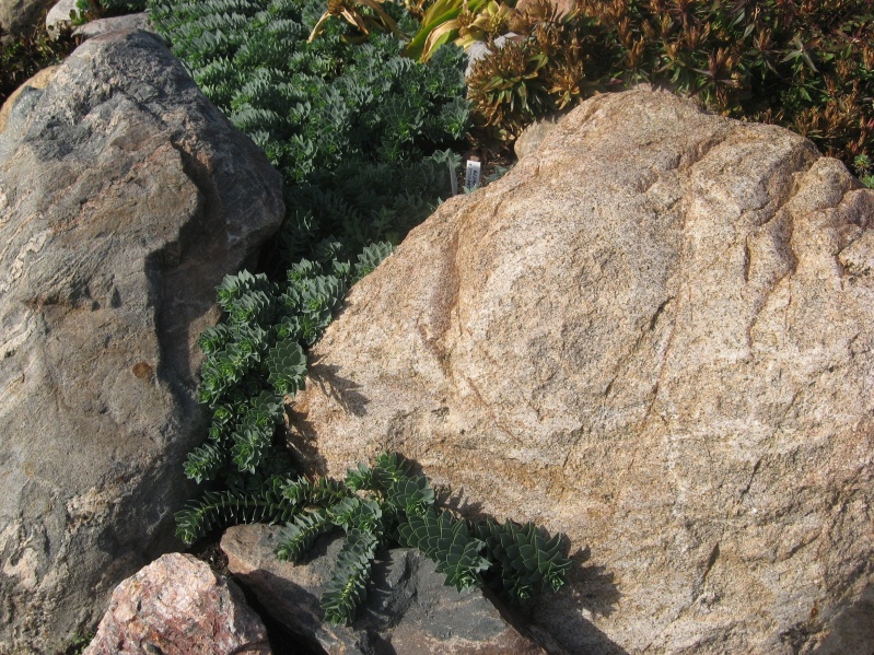 Vaizdas:Img0773 596.jpg