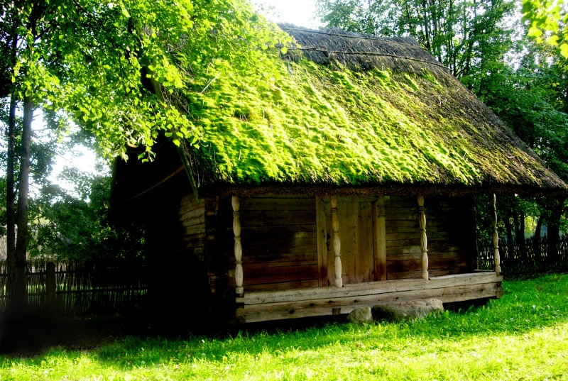 Vaizdas:Pamiršti 205.jpg