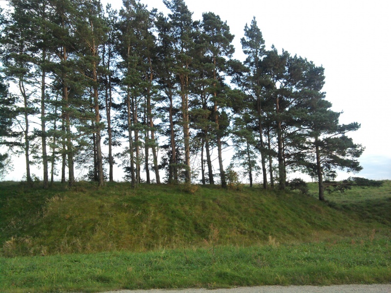 Vaizdas:Žagarės ozas 841.jpg
