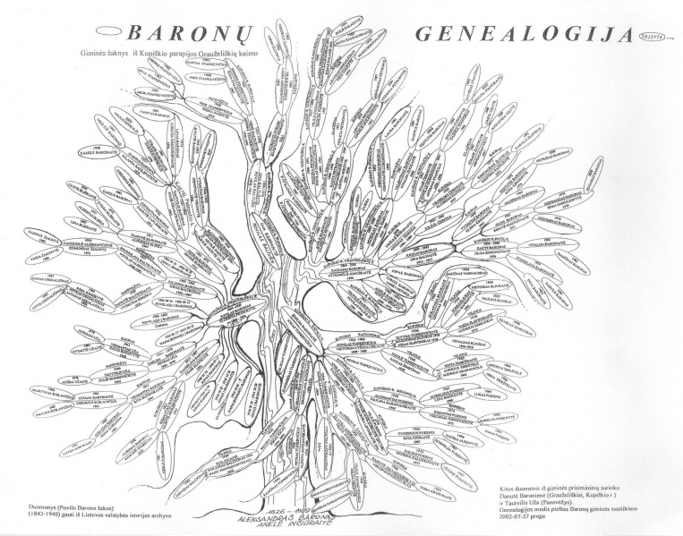 Vaizdas:Baronų medis 615.jpg