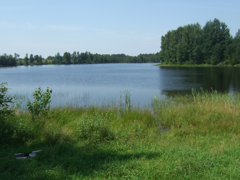 Vaizdas:Ežeras Juodzikis Varlių kaime. Trakų raj. 969.jpg