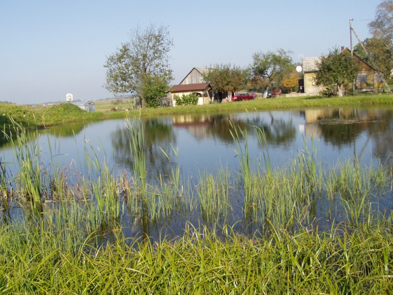 Vaizdas:Bijotų ruduo 853.jpg