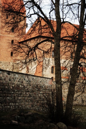 K. Lapinaitės nuotr.