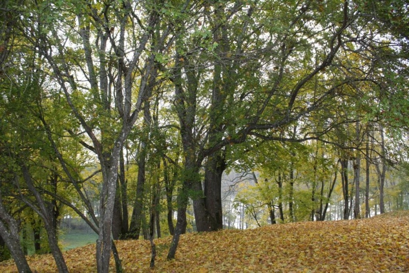 Vaizdas:19 13.jpg