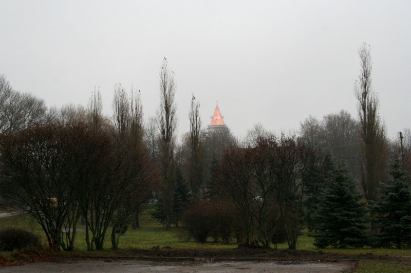 Vaizdas:Lietinga Tauragė 152.jpg