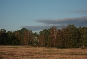 Spalvų žaismas