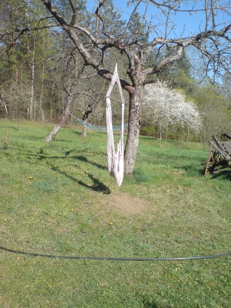 Vaizdas:Poilsis sode 807.jpg
