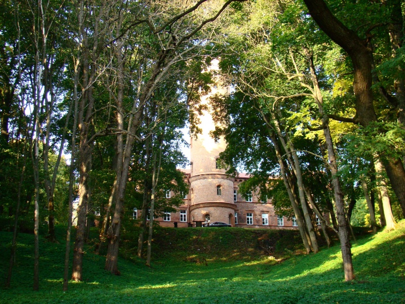 Vaizdas:Raudonės pilis vasarą 311.jpg