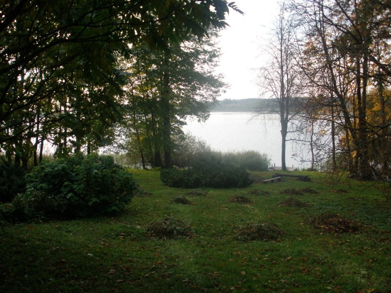 Vaizdas:Dviragis prie Salų dvaro 14.jpg