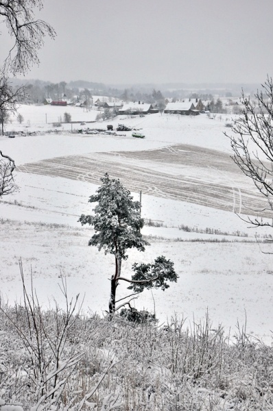 Vaizdas:Pakalnių šventovė 273.jpg