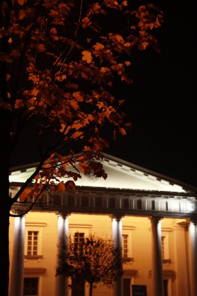 Vaizdas:Vilniaus rotušė 997.jpg
