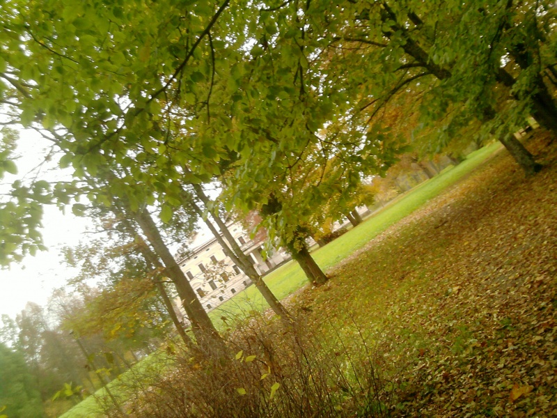 Vaizdas:Plinkšių parkas 229.jpg