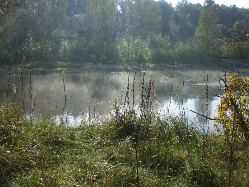 Vaizdas:Gamtos alsavimas 446.jpg