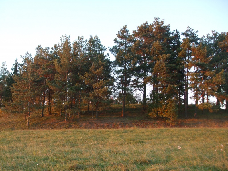 Vaizdas:Aukštelkų kaimo kapinaitės 889.jpg