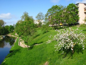 Pakupiai pavasarį