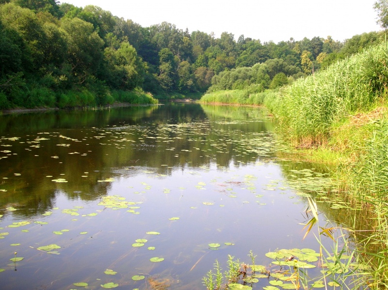 Vaizdas:Šešupė ties Panoviais 314.jpg
