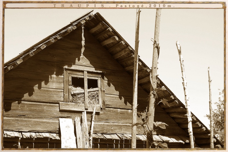 Vaizdas:Traupis. Pastogė 483.jpg