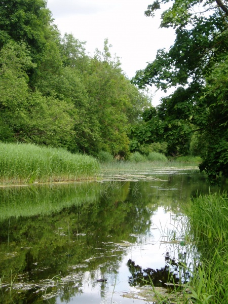Vaizdas:Ventos upės tėkmė vasarą 672.jpg
