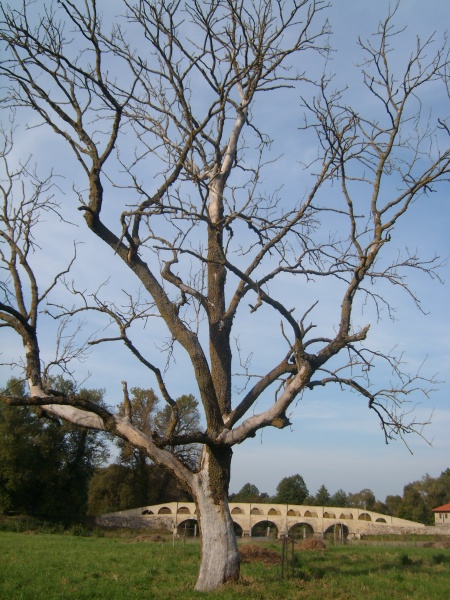 Vaizdas:Išlikimas 848.jpg