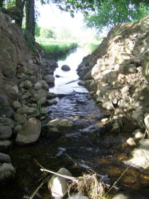 Nevėžis (Traupis, Anykščių r.)