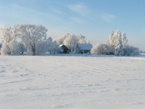 Narsučių kaimas žiemą