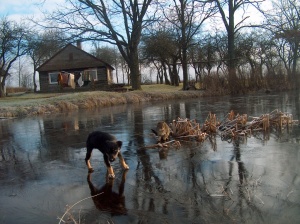 Ant ledo. Medvišių kaimas, Prienų rajonas