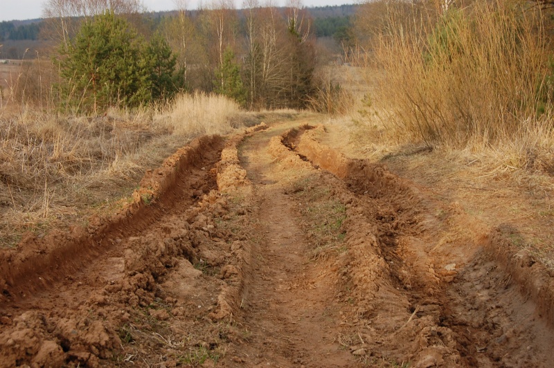 Vaizdas:Rudenėjančiais laukais 427.jpg