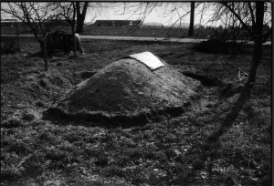 Aristava, Kėdainių rajonas