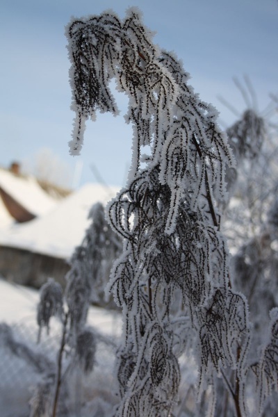 Vaizdas:Vasarą manęs nepastebėtum... 204.jpg