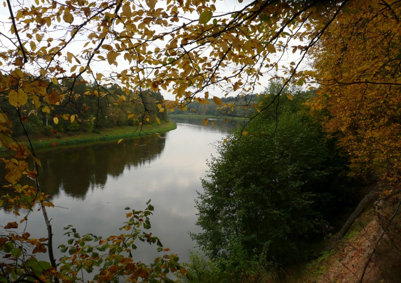 Vaizdas:Nemunas ties Radžiūnais 162.jpg
