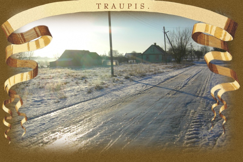 Vaizdas:Traupis 09 538.jpg