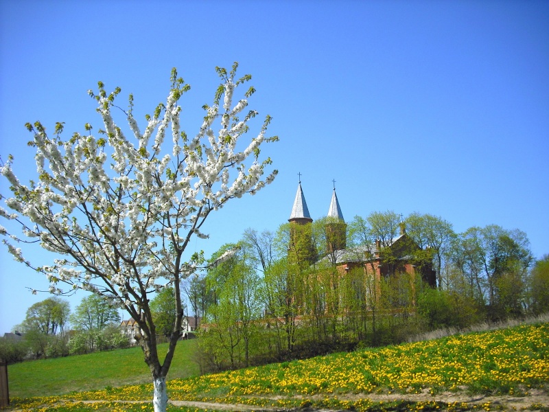 Vaizdas:Skirsnemunė pavasarį 741.jpg