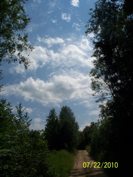 Vaizdas:Kelias 389.jpg
