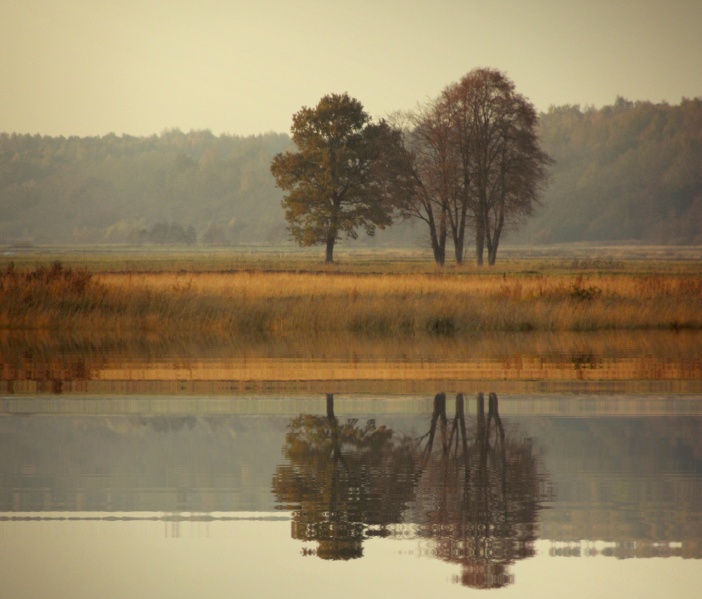 Vaizdas:Autumn 615.jpg