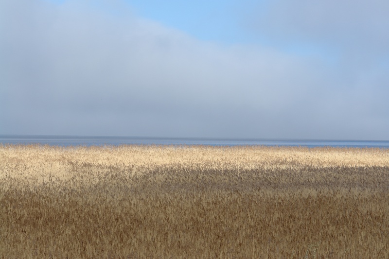 Vaizdas:Marių platybės 179.jpg