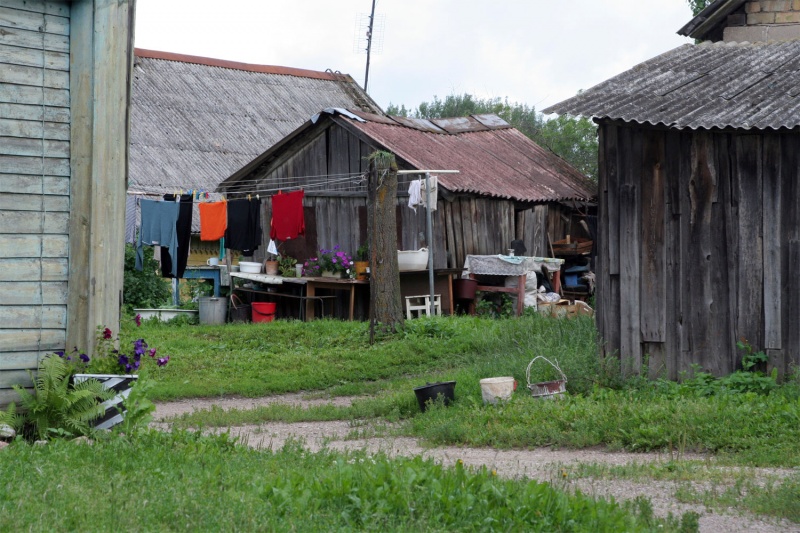 Vaizdas:Obeliai vasarą 932.jpg