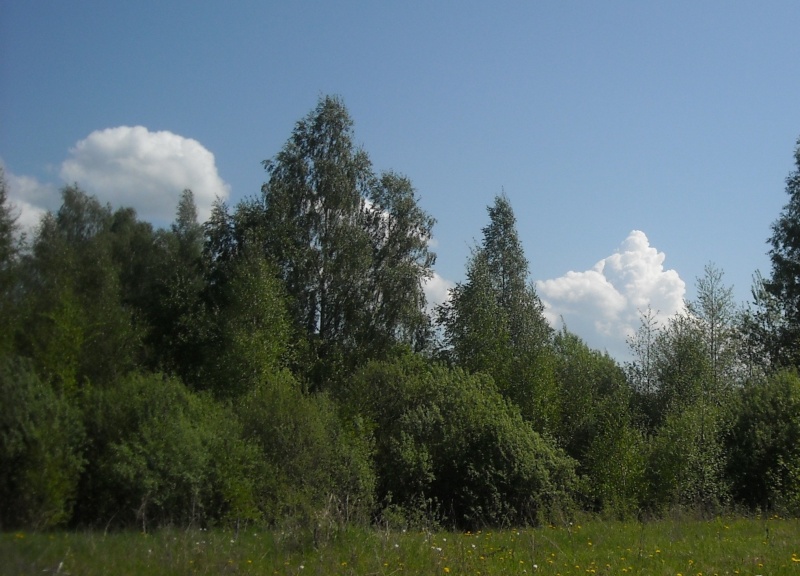 Vaizdas:Pamiškėje 976.jpg