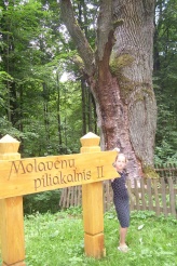 Aplankykite Molavėnų piliakalnius Raseinių rajone