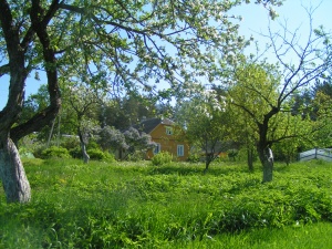 Tėviškė pavasarį