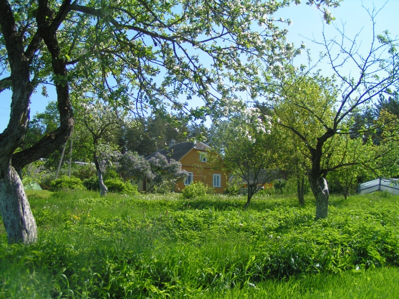 Vaizdas:Tėviškė Deivių kaimas, Kelmės raj. 53.jpg