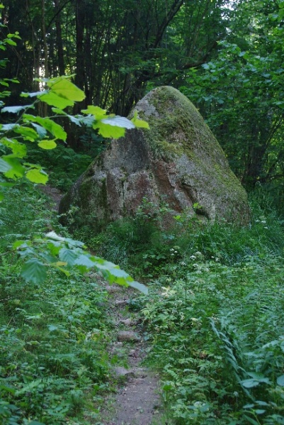 Vaizdas:Akmuo Mokas. Tauragnų sen., Utenos r. 632.jpg