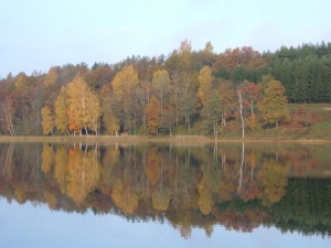 Utenos rajonas, Tauragnai, Labės ežeras