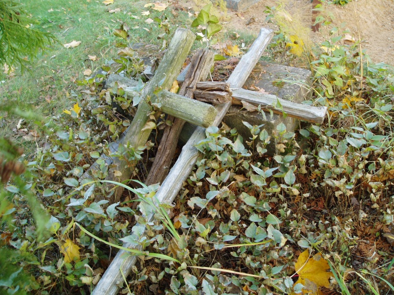 Vaizdas:Stančikų kapinės Pastrėvio seniūnijoje 483.jpg