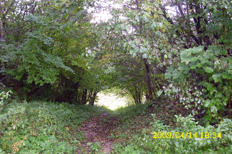 Vaizdas:Minčių tunelis 956.jpg