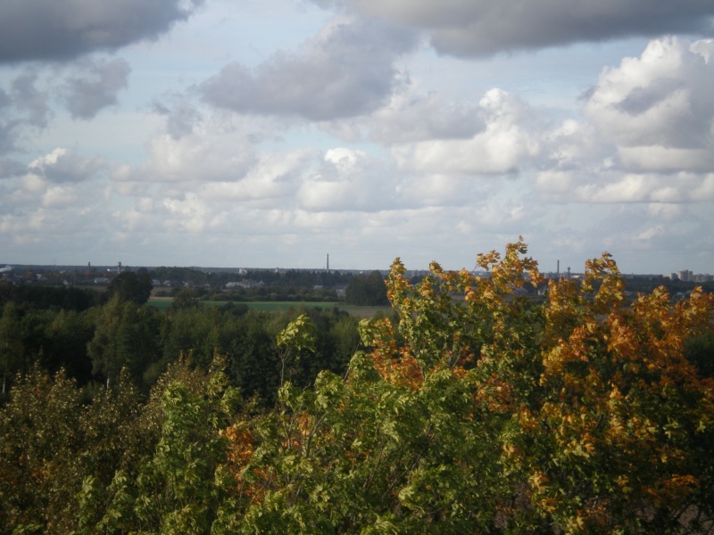 Vaizdas:Vaizdeliai iš Letenių kaimo (Mažeikių r.) 381.jpg