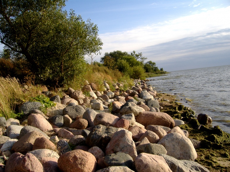 Vaizdas:Akmenuota Kuršių marių pakrantė 280.jpg