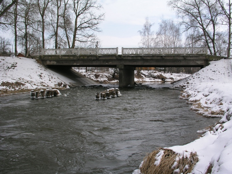 Vaizdas:Tiltas per Strėvą 534.jpg