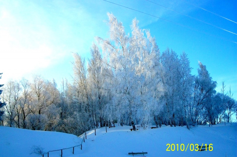 Vaizdas:Žagarė žiemą 898.jpg